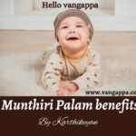 Munthiri palam benefits