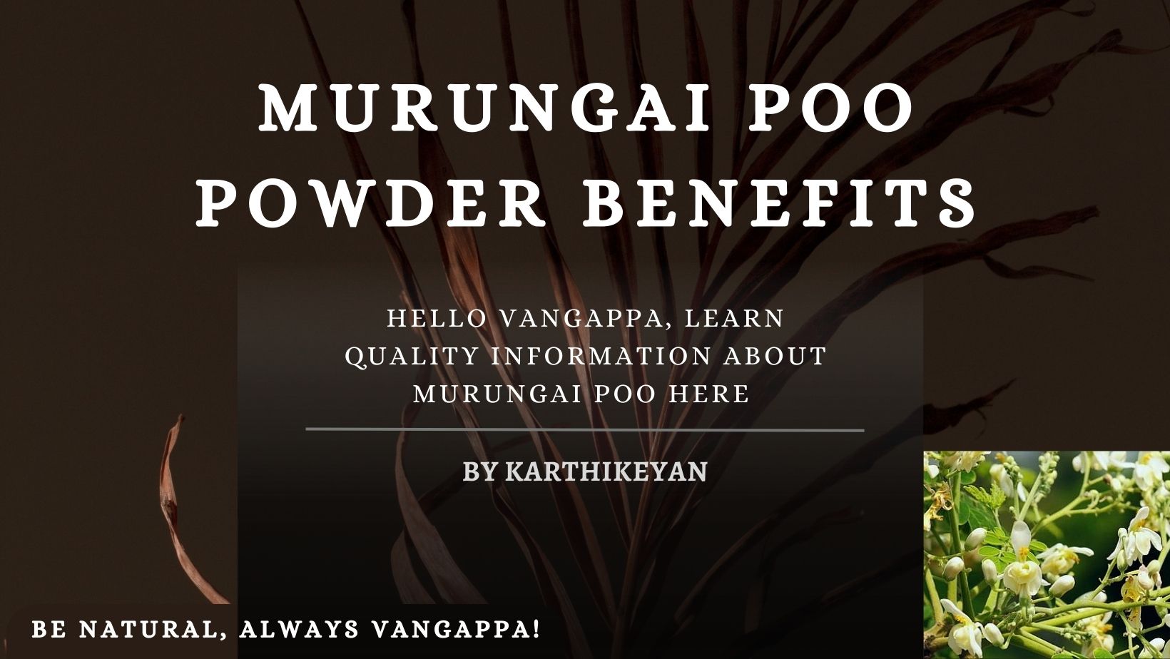 Murungai poo powder benefits