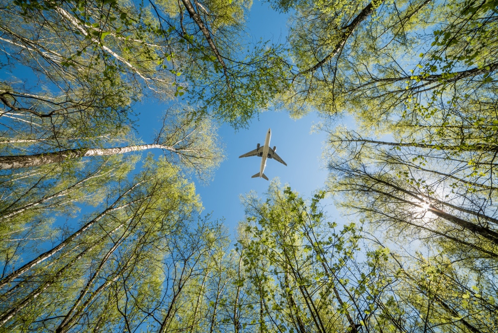 A private jet flies above a clearing in a forest.