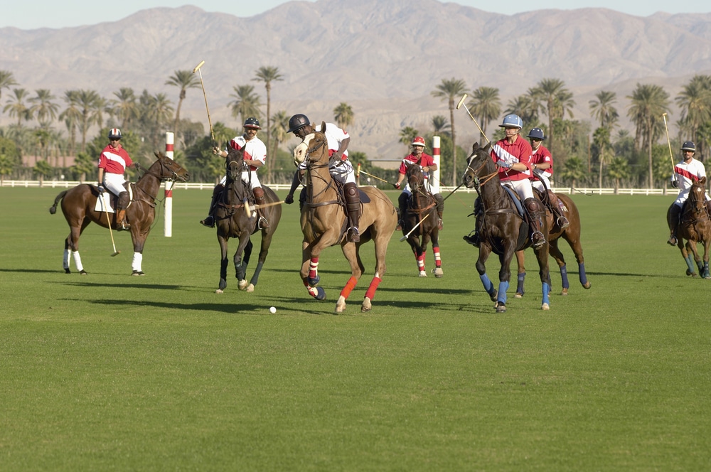 People on horseback playing polo.